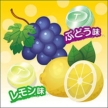 Load image into Gallery viewer, Trabelmin  Chew-Drop Grape Flavor 6 Tablets
