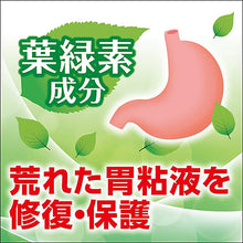 将图片加载到图库查看器，Sakron Gastric Support 10Packs
