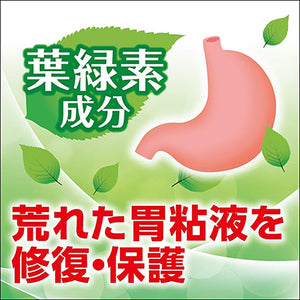 Sakron Gastric Support 10Packs