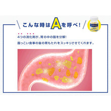 将图片加载到图库查看器，Ohta&#39;s Isan 45 Tablets
