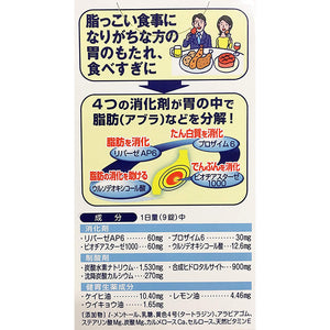 Ohta's Isan 300 Tablets