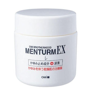 Omi Brothers Menterm EX Plus Cream 150g