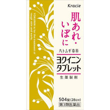 Laden Sie das Bild in den Galerie-Viewer, Yokuinogen Tablets (504 tablets)

