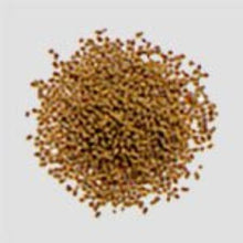 Laden Sie das Bild in den Galerie-Viewer, Kampo Minor Blue Dragon Decoction Extract Granules A (10 packets)
