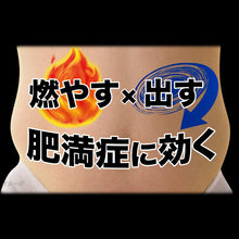 画像をギャラリービューアに読み込む, Naisitol Za Pouch 315 Tablets, Obesity Slimming Diet Acne Constipation Remedy
