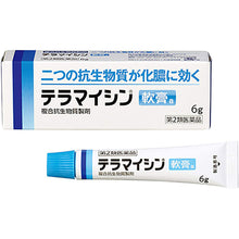 Laden Sie das Bild in den Galerie-Viewer, TERRAMYCIN Ointment A 6g
