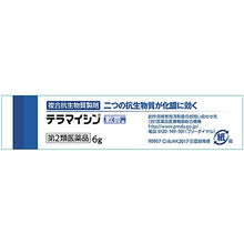 Laden Sie das Bild in den Galerie-Viewer, TERRAMYCIN Ointment A 6g
