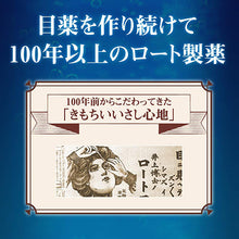 Load image into Gallery viewer, Rohto V11 13mL
