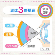 Cargar imagen en el visor de la galería, Tears Rohto Dry Eye Contacts a 13mL
