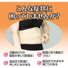 Cargar imagen en el visor de la galería, B?f?ts?sh?san Extract Tablets 112 Tablets Japan Herbal Remedy Obesity Hot Flashes Constipation Eczema
