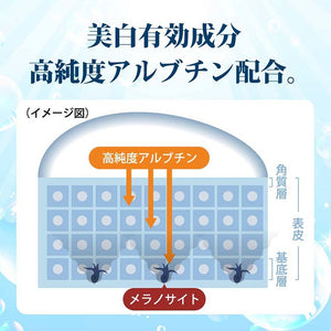 Hada Labo Shirojyun remedy Whitening Lotion (Moist-type) 170ml Refill Hyaluronic Acid Hydrating Beauty Skin Care