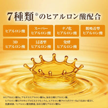 将图片加载到图库查看器，Hada Labo Gokujyun Premium Hyaluronic Liquid Lotion Refill 170ml
