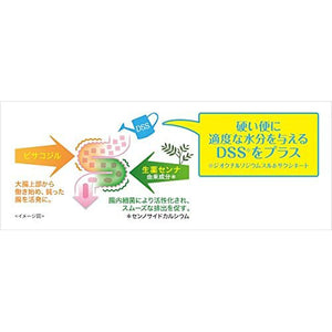 Surulac Plus 55 Tablets Japan remedy Constipation Relief Hemorrhoids Dull Headache Hot Flash Appetite Loss