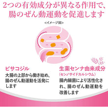 Muat gambar ke penampil Galeri, Surulac Plus 120 Tablets Japan Medicine Constipation Relief Hemorrhoids Dull Headache Hot Flash Appetite Loss Rough Skin
