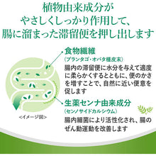 将图片加载到图库查看器，Surulac Fiber 10 Packs Japan remedy Clean Stagnant Stools Improve Intestinal Movement Smooth Excretion
