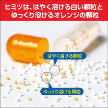 Muat gambar ke penampil Galeri, Pabron Rhinitis Capsule S.alpha 48 Capsule Japan Medicine for Runny Nose Sneezing Stuffy Nose Allergy Relief

