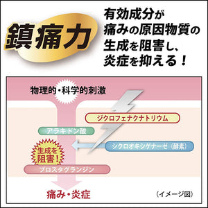 Voltaren EX Tape  14 Pieces (7cm*10cm) Japan Pain Relief Anti-inflammatory Backache Plaster Fragrance-free